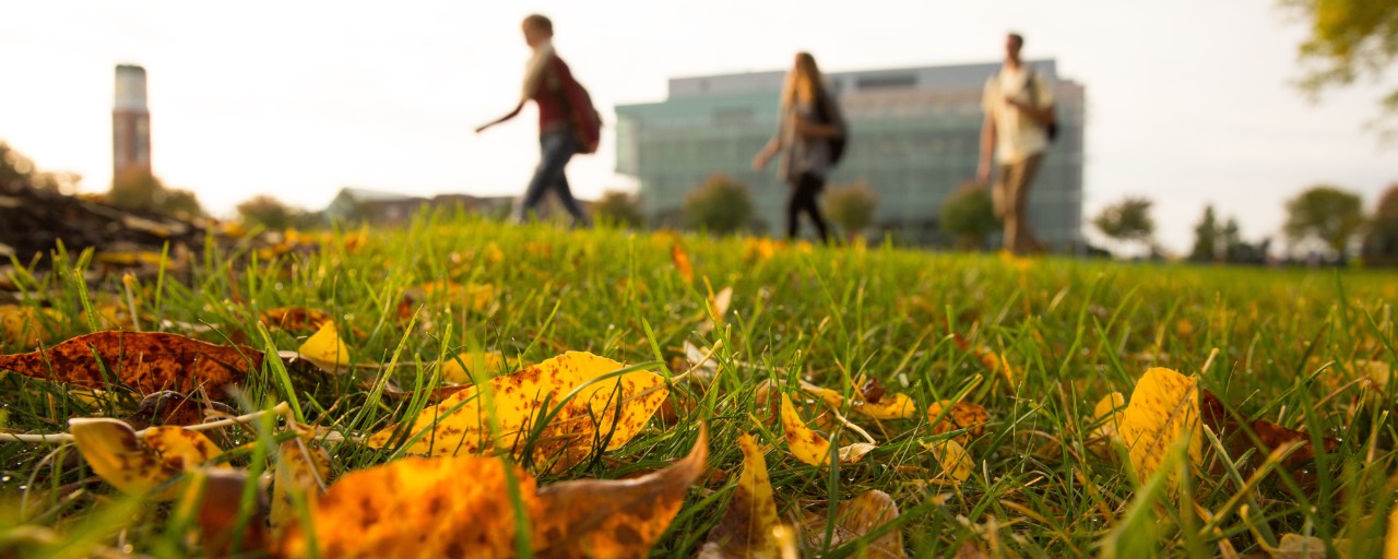 Students Walking on Allendale Campus, Fall Leaves in Foreground